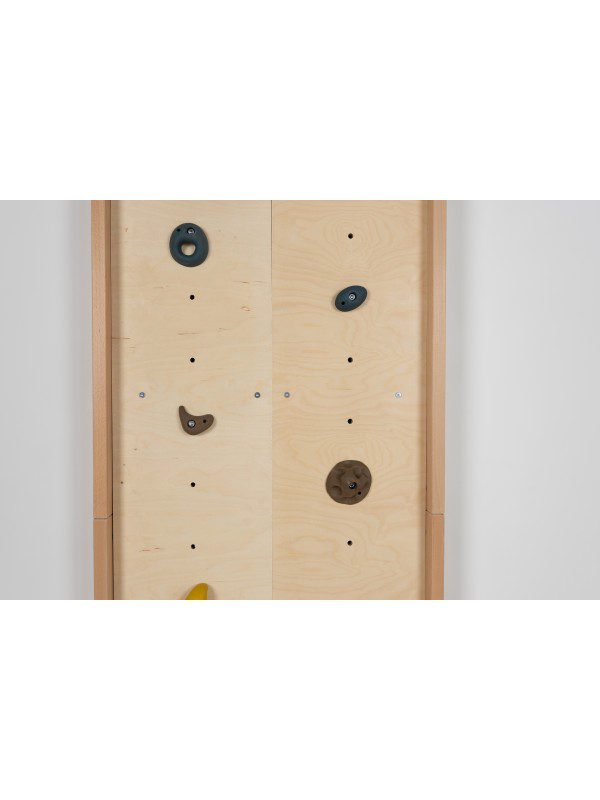 wall climbing board 2
